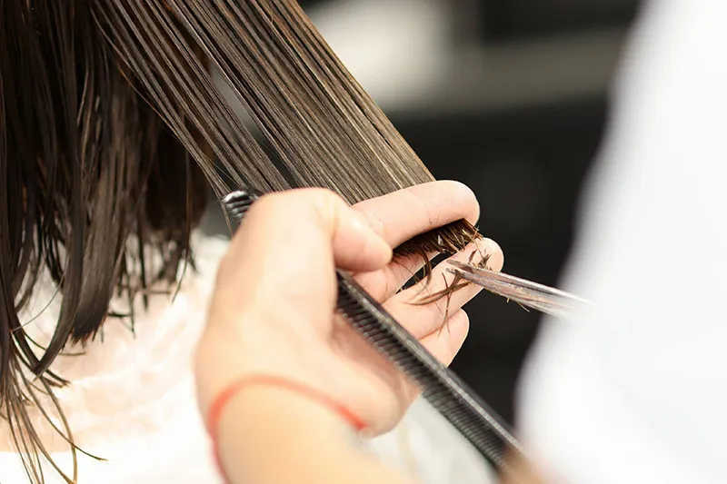 お客様の理想を実現するスタッフの求人